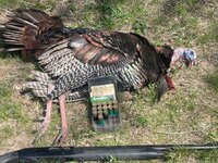 IMG_1395.jpeg