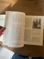 IMG_9646.jpeg