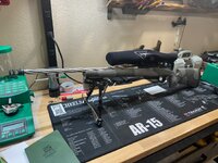 IMG_3869.jpeg
