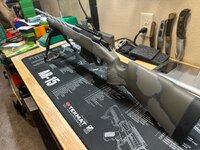 IMG_3867.jpeg