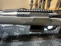 IMG_3866.jpeg