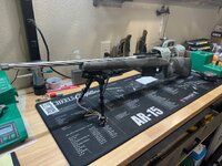 IMG_3865.jpeg