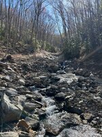 IMG_1190.jpeg