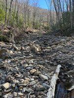 IMG_1189.jpeg