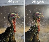 IMG_9664.jpeg