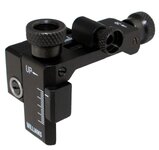Williams Sight.jpg