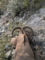 IMG_6305.jpeg