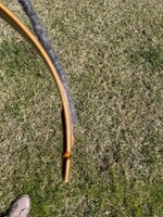 IMG_7985.jpeg