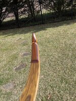 IMG_7986.jpeg