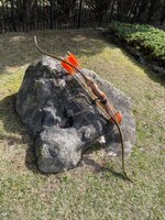IMG_7993.jpeg