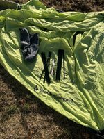 IMG_6372.jpeg