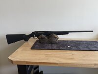 IMG_1146.jpeg