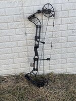 IMG_2523.jpeg
