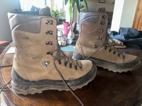 IMG_3220.jpeg