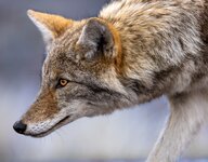 DBBFD98D-4799-4940-8D63-5F1DDA26A8A7.jpeg