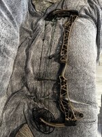 IMG_1406.jpeg