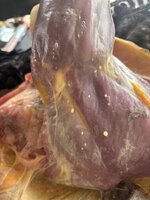 IMG_0575.jpeg