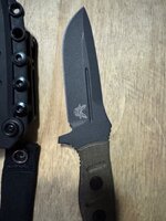 IMG_4207.jpeg