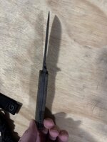 IMG_4210.jpeg