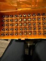 IMG_2315.jpeg
