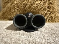 IMG_0658.jpeg