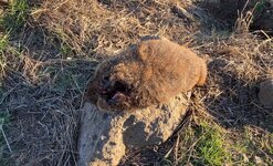 IMG_5799.jpeg