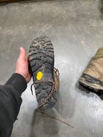 IMG_3680.jpeg