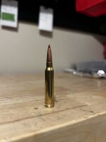 IMG_9639.jpeg