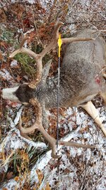 20161123_093525.jpg 20161123_093525.jpg