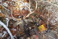 20161123_094539.jpg 20161123_094539.jpg