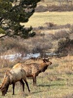 IMG_1868.jpeg
