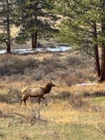IMG_1856.jpeg