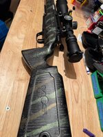 IMG_6434.jpeg
