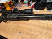 IMG_6436.jpeg
