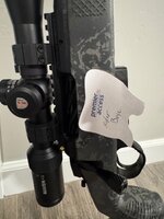 IMG_2703.jpeg