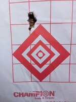 IMG_20250412_192032675.jpg