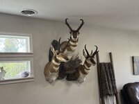 IMG_1800.jpeg