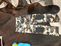 IMG_1297.jpeg