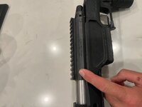 IMG_2636.jpeg