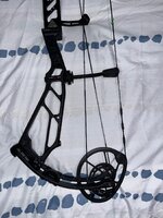 IMG_7033.jpeg