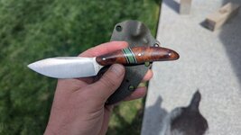 PXL_20250423_171709618.jpg