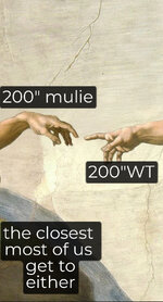 IMG_0607.jpeg