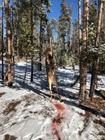 IMG_0759.jpeg