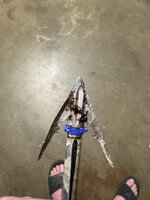 IMG_0276.jpeg