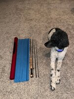 IMG_0915.jpg