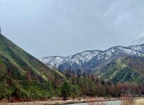 IMG_5441.jpeg