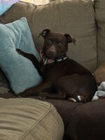 Coco.jpg