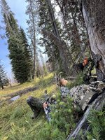 IMG_5791.jpeg