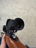 IMG_1329.jpeg