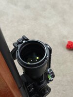 IMG_1330.jpeg